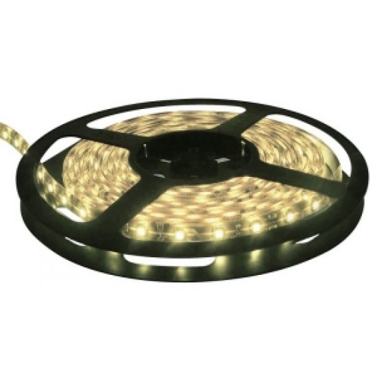 Şerit Led Şerit Led